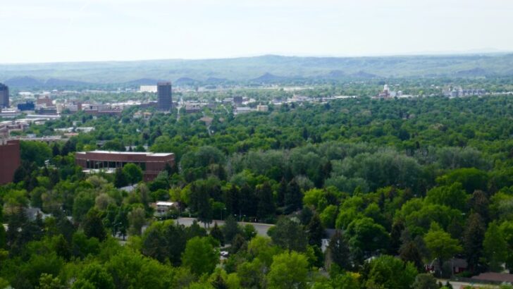 20 Best Things to Do in Billings, Montana