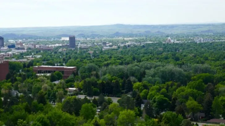 Aerial view of Billings Montana