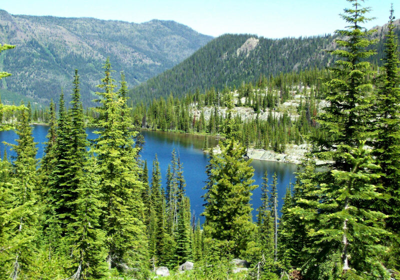 Flathead National Forest
