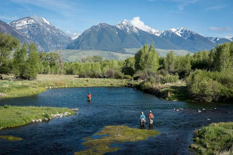 Montana Angler Fly Fishing