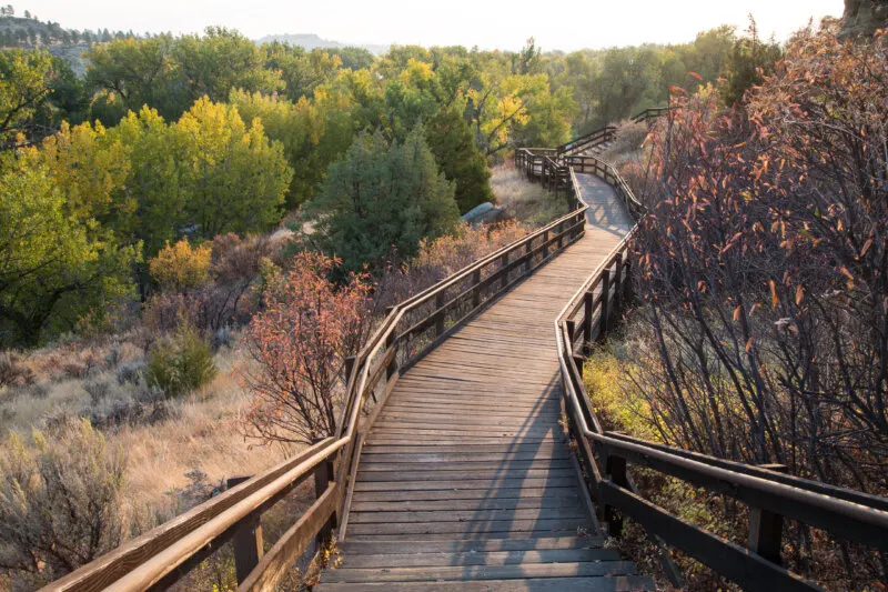 Path to Pompeys Pillar