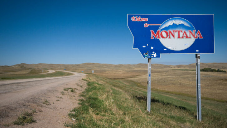 Welcome to Montana Sign Board