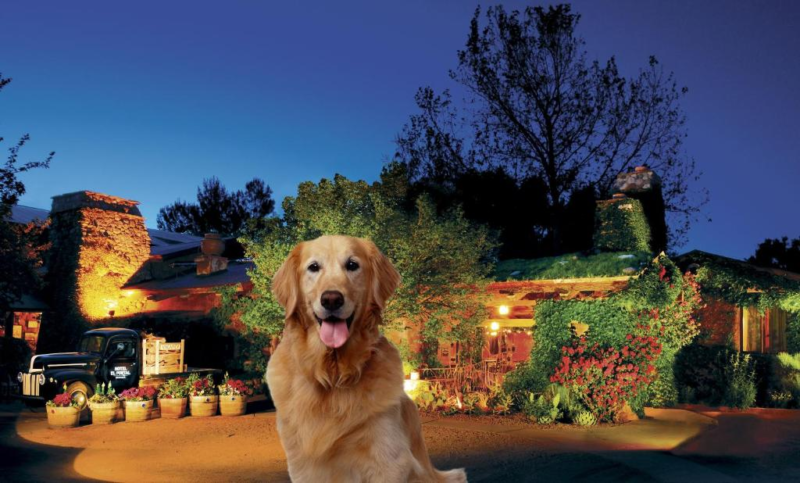 Pet-friendly El Portal Sedona Hotel