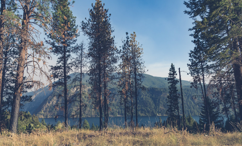 Lake Pend Oreille 