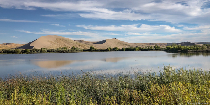 Sand Dunes and the Lake of Bruneau Dunes State Park