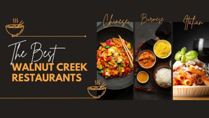 15 Best Walnut Creek Restaurants