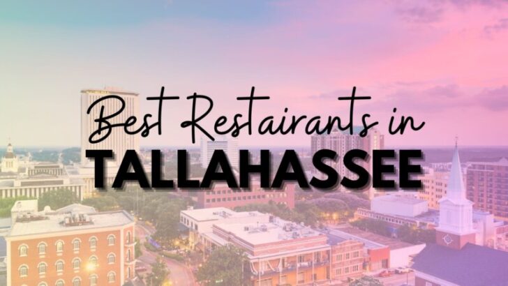 best restaurants in Tallahassee