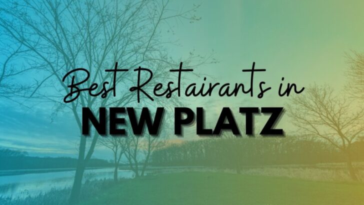 best restaurants in new platz