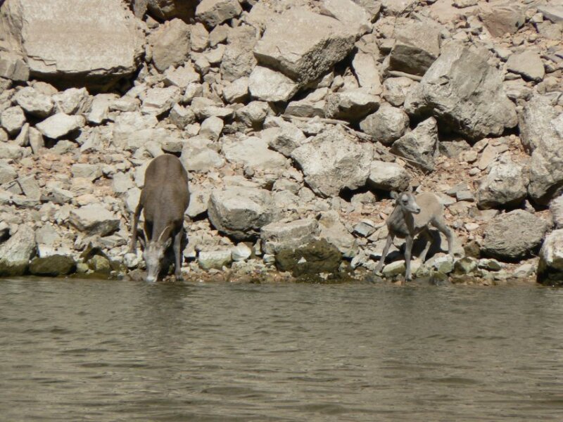  Bighorn Canyon National Recreation Area