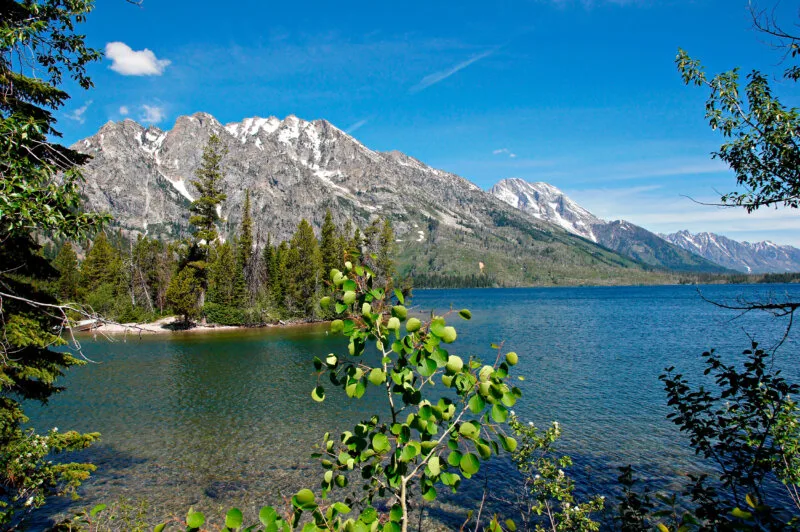 John D. Rockefeller Memorial Parkway in Wyoming