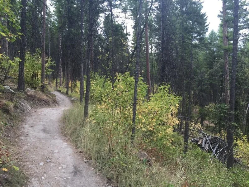 Whitefish Trail