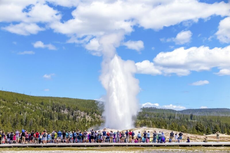 Yellowstone National Parks In Wyoming