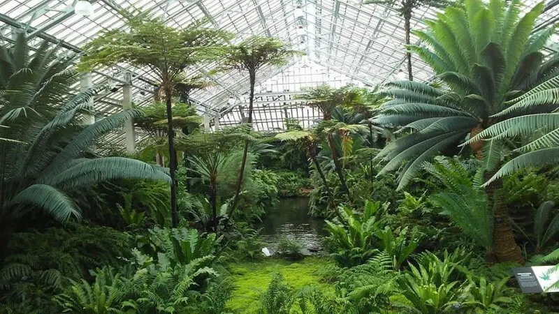 Garfield Park Conservatory.