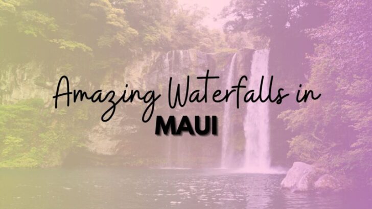12 Amazing Waterfalls to Visit in Maui